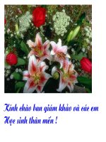 Đại lượng tỉ lệ thuận