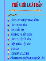 Thế giới của loài rắn