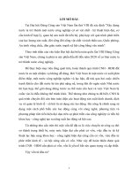 Vai trò, chức năng nhiệm vụ của Ngân hàng Thương mại Cổ phần đối với việc huy động vốn cho sự nghiệp CNH - HĐH Việt Nam trong giai đoạn hiện nay