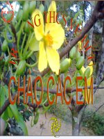 Bai 23 Con co - Che lan vien