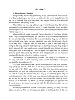 “ Giải pháp kinh tế nhằm hình thành và phát triển vùng nguyên liệu phục vụ CNCB thịt lợn ở Hải Phòng”.