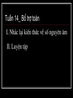 Bổ trợ số nguyên