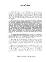 Chiến lược kinh doanh và những biện pháp thu hút khách hàng, nâng cao hiệu quả phục vụ khách hàng ở Công ty thương mại dịch vụ Tràng Thi.