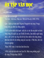 On tap van hoc nuoc ngoai 12