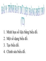 trinhbaydulieubangbieudo_t2