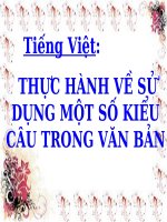 thực hành một số kiểu câu trong văn bản