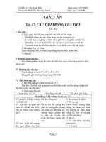 cấu tạo trong của thỏ