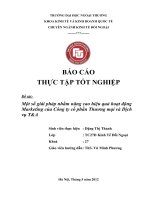 Một số giải pháp nhằm nâng cao hiệu quả hoạt động Marketing của Công ty cổ phần Thương mại và Dịch vụ T&A