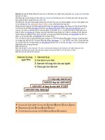 Cơ bản về Internet 