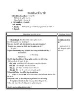 Tiết 10: Nghĩa của từ