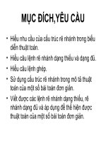 Bài 9: Cấu trúc rẽ nhánh