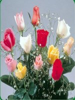 Su xac dinh duong tron - HH9