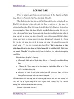 Rủi ro tín dụng và biện pháp hạn chế rủi ro tín dụng tại Ngân hàng Đầu tư và Phát triển Việt Nam chi nhánh Đông Đô