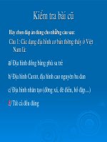 bài 29: Đặc điểm các khu vực địa hình