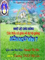 Cảm nghĩ trong đêm thanh tĩnh (Hội giảng)