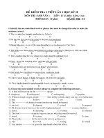 Đề kiểm tra (HK II-Nâng cao)