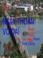 Day thon vi da - Cuc hay