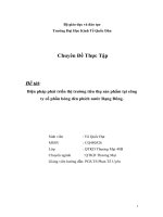 Biện pháp phát triển thị trường tiêu thụ sản phẩm tại công ty cổ phần bóng đèn phích nước Rạng Đông