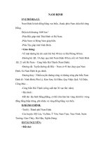 Một số thông tin về Nam Định