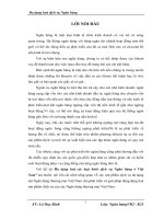 Đa dạng hoá các loại hình dịch vụ Ngân hàng ở Việt Nam