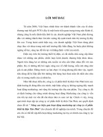 Nâng cao hiệu quả hoạt động marketing tại công ty cổ phần thiết bị điện Tân Phát