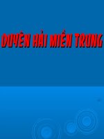 Duyên hải Miền Trung