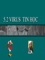 Tin đại cương chương 9