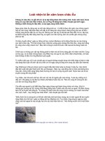 loài nhện bí ẩn xâm nhập châu âu