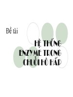 Hệ thống enzym trong TDC
