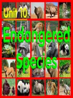 Unit 10: Endangered species