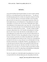 Thực trạng ngành công nghiệp phụ trợ tại Việt Nam