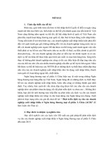 Đánh giá công tác Chăm sóc khách hàng thông qua hoạt động thu cước viễn thông  tại Viettel