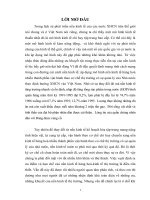 Vai trò kinh tế của Nhà nước trong nền kinh tế thị trường định hướng XHCN ở nước ta hiện nay