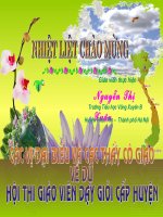 Trang tri duong diem o do vat