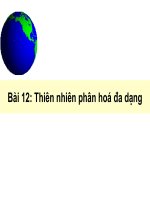 Bai 12-Thien nhien phan hoa da dang(tiet2)
