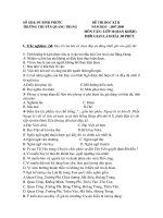 Đề kiểm tra học kỳ 2 lớp 10 - nâng cao