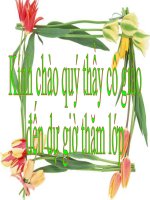 Sự nở vì nhiệt của chất khí