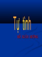 Tự tình