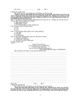 Đề HSG Tiếng Việt 5