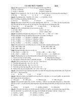 Câu Hỏi Trắc Nghiệm Luyện Thi Đại Học Đề 8