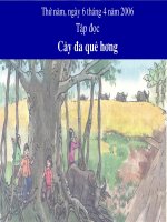 Cây đa quê hương