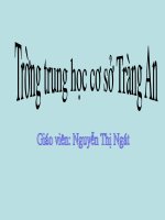 Bµi 3. Sông ngòi Việt Nam