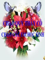 sự phát sinh loài người hoàn chỉnh