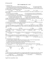 Đề tổng hợp học kì 2 (bài 2)