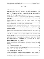 Kế toán Doanh thu, chi phí và kết quả kinh doanh tại Công ty Cổ phần công nghệ VITEQ Việt Nam