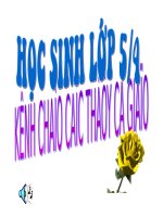 sử dụng năng lượng điện(bài dự thi GV giỏi 06-07)