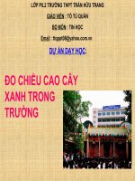 Đo chiều cao cây xanh trong trường
