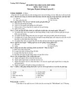 Đề kiểm tra Ngữ văn HK II