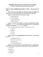 Đề kiểm tra HKI lớp 11cơ bản