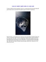 8 DI SẢN THIÊN NHIÊN MỚI CỦA THẾ GIỚI